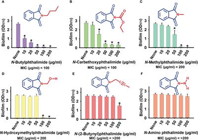 Antifungal, anti-biofilm, and anti-hyphal properties of N-substituted phthalimide derivatives against Candida species